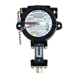 Flameproof Compound Range Switch series FC 
