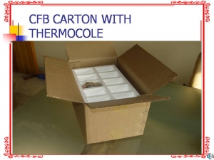 CFB Carton with Thermocole