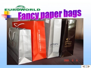 Fancy Paper Bags