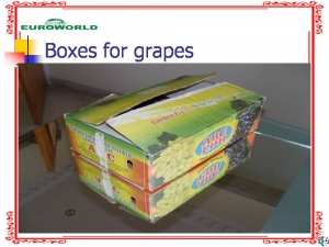 Boxes for Grapes