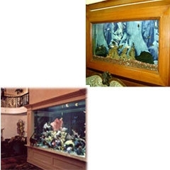 Wooden Frame Aquarium