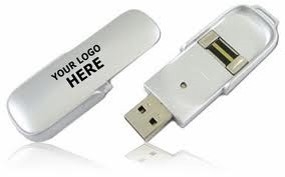 208 - USB BIOMETRIC PEN DRIVE (4GB)