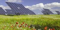 EPC project consultation for MW solar farms