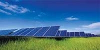 MW Solar farms
