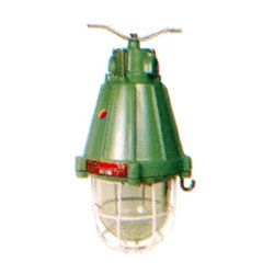 Flameproof and WP Well Glass Light Fitting
