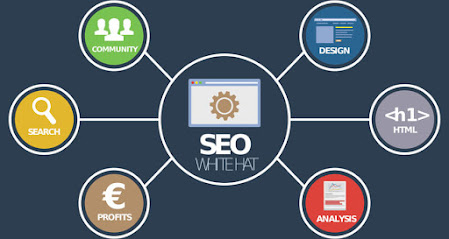 Search Engine Optimization Company In Digha