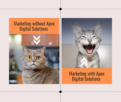 Search Engine Optimization Company In Bhiwandi