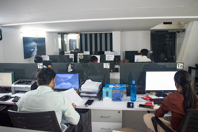 Search Engine Optimization Company In Marine Lines