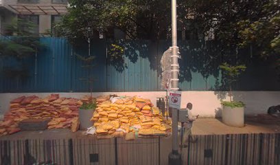 Search Engine Optimization Company In Dadar