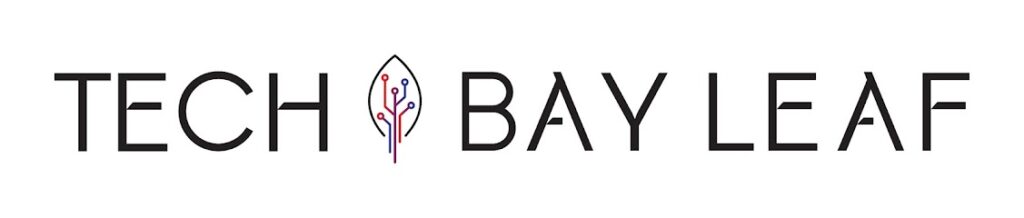 Social Media Marketing Company In Rabale