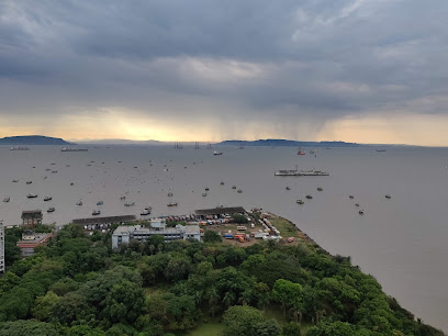 SEO Marketing Company In Currey Road